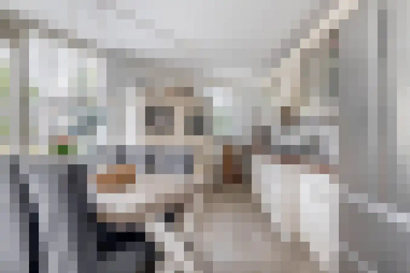 Vaartkade 15 Zaandam thumbnail 10