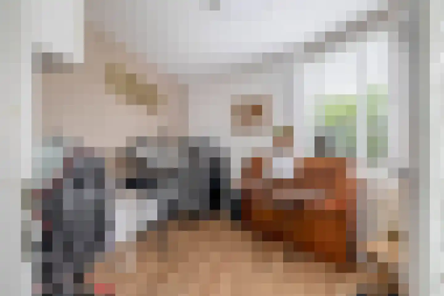 Vaartkade 15 Zaandam thumbnail 16