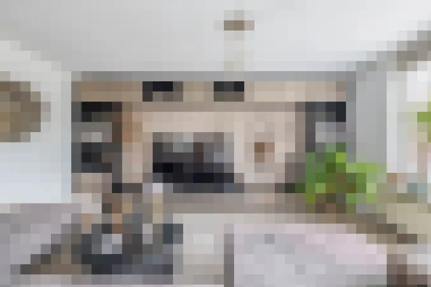 Vaartkade 15 Zaandam thumbnail 6