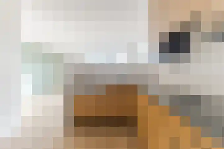 Vaartkade 29 Zaandam thumbnail 17