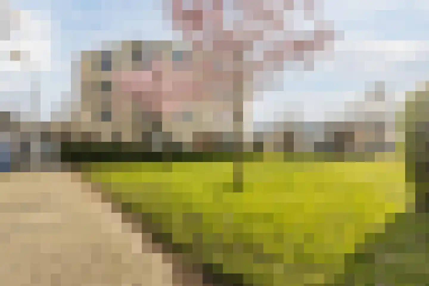 Vaartkade 29 Zaandam thumbnail 40