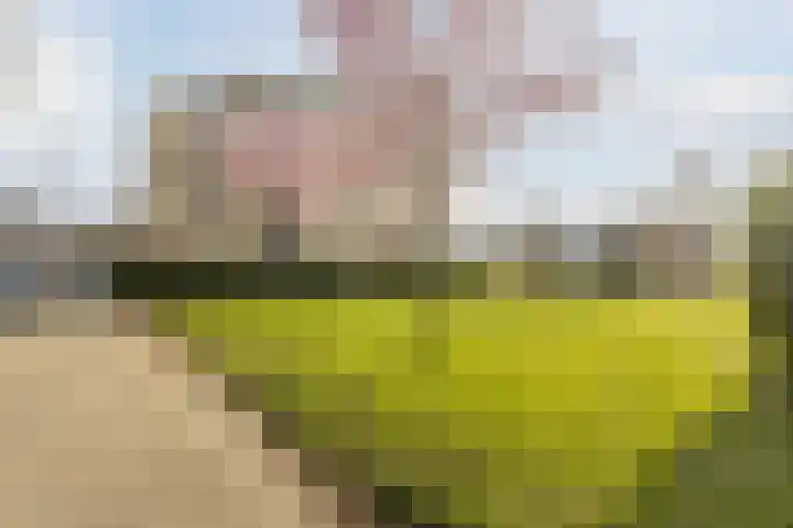 Vaartkade 29 Zaandam thumbnail 40