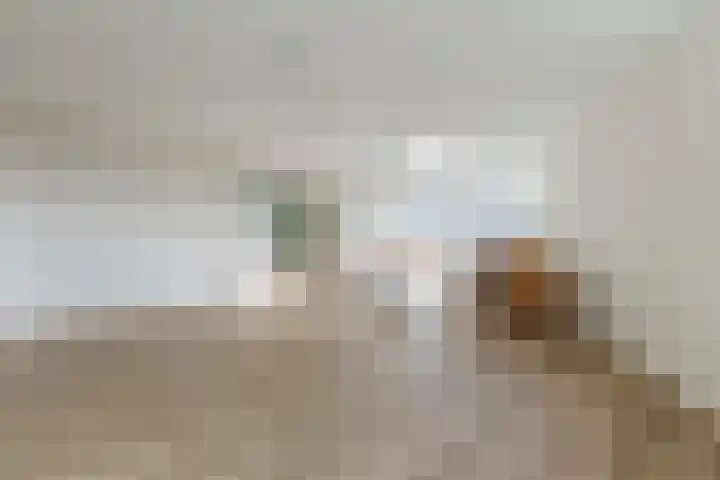 Vaartkade 29 Zaandam thumbnail 7