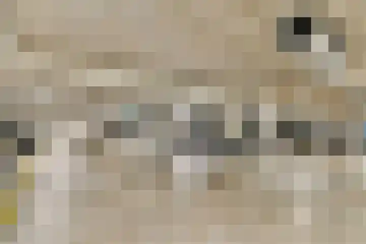 Vaartkade 31 Sassenheim thumbnail 20