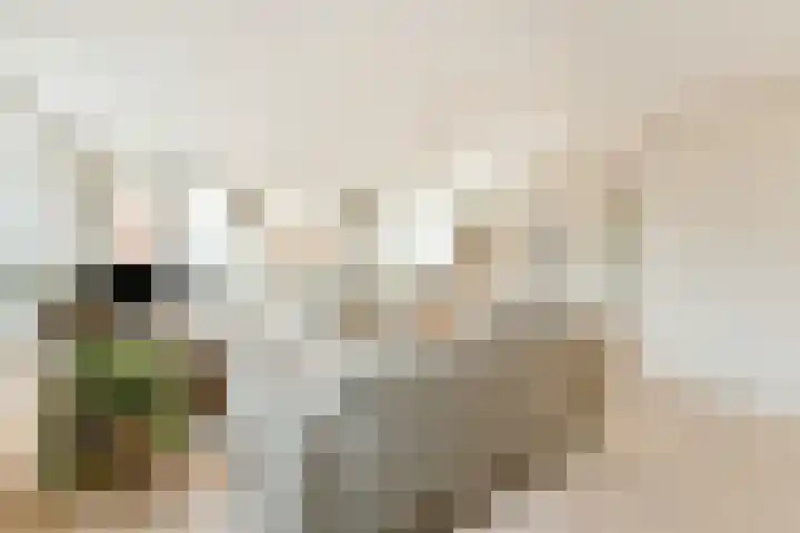 Vaartkade 31 Sassenheim thumbnail 7