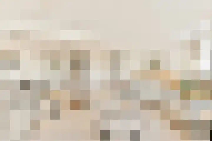 Vaartkade 31 Sassenheim thumbnail 8
