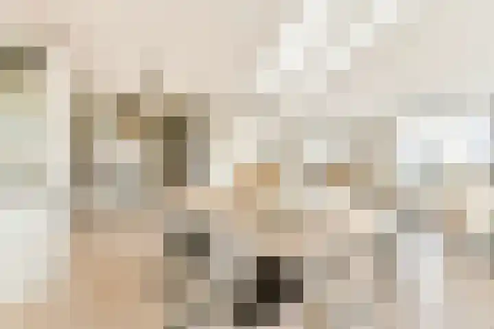Vaartkade 31 Sassenheim thumbnail 9