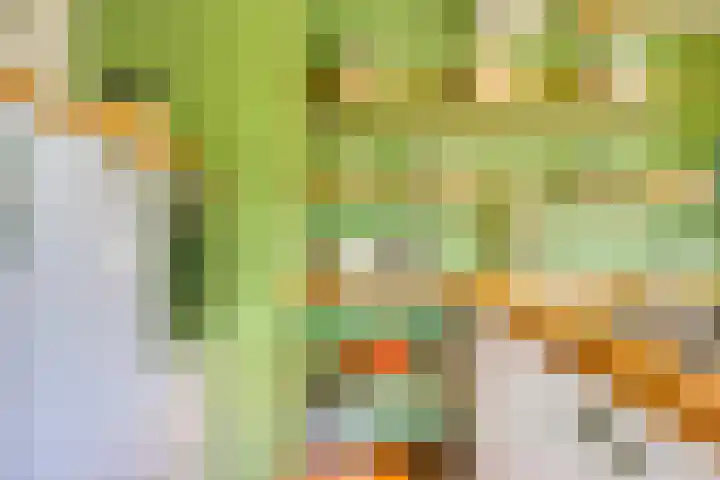 Vaartkant 16 Drimmelen thumbnail 17
