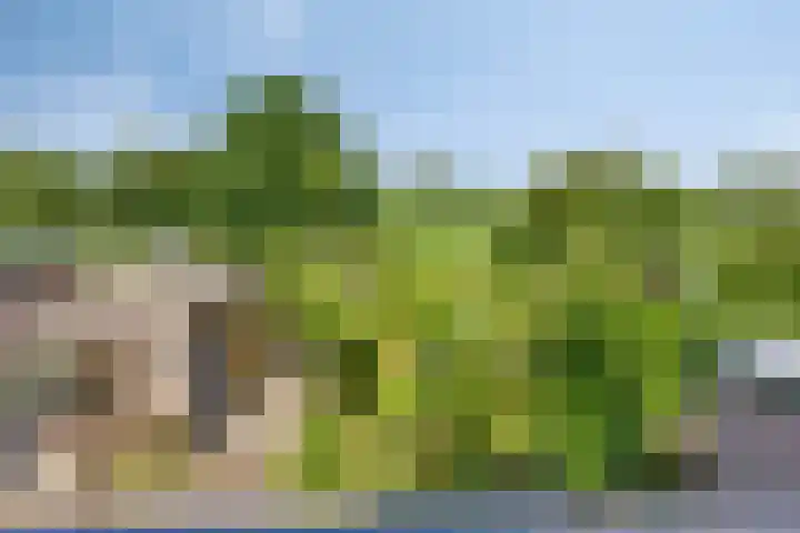 Vaartkant 16 Drimmelen thumbnail 27