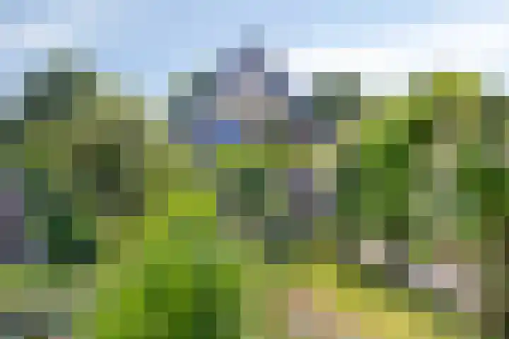 Vaartkant 16 Drimmelen thumbnail 33