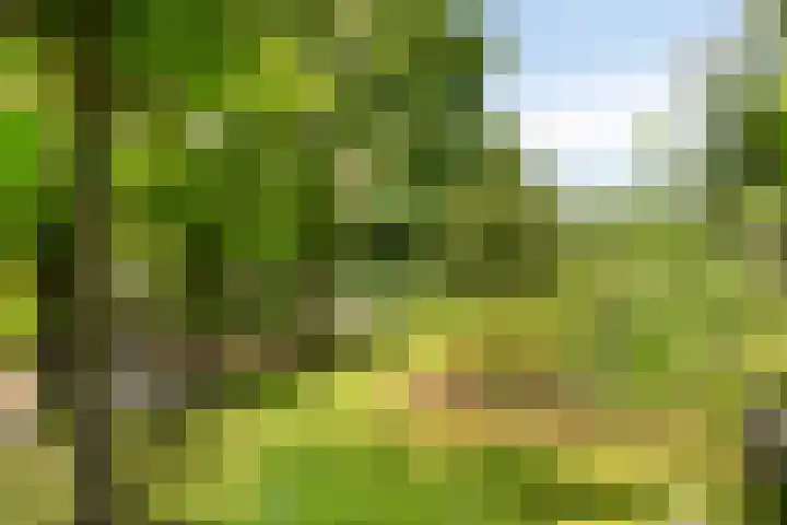 Vaartkant 16 Drimmelen thumbnail 36