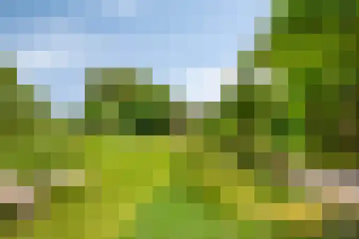 Vaartkant 16 Drimmelen thumbnail 37