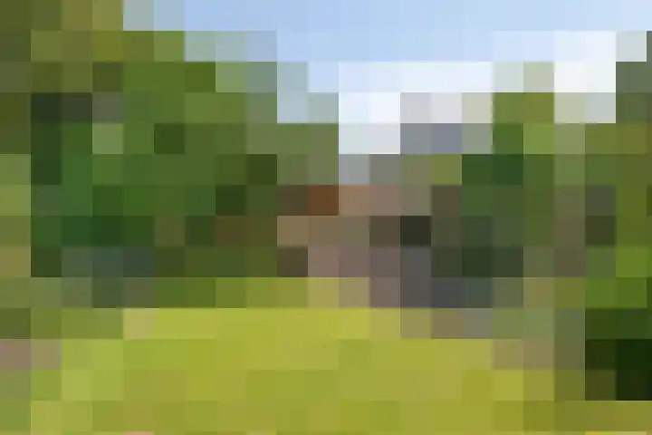 Vaartkant 16 Drimmelen thumbnail 38