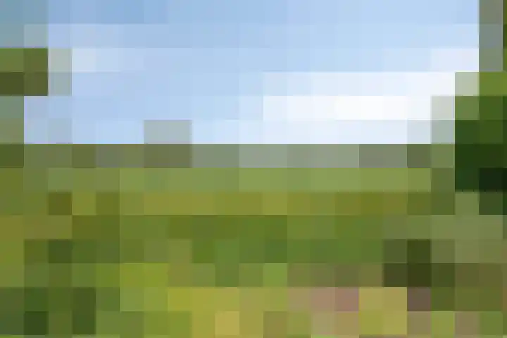 Vaartkant 16 Drimmelen thumbnail 39