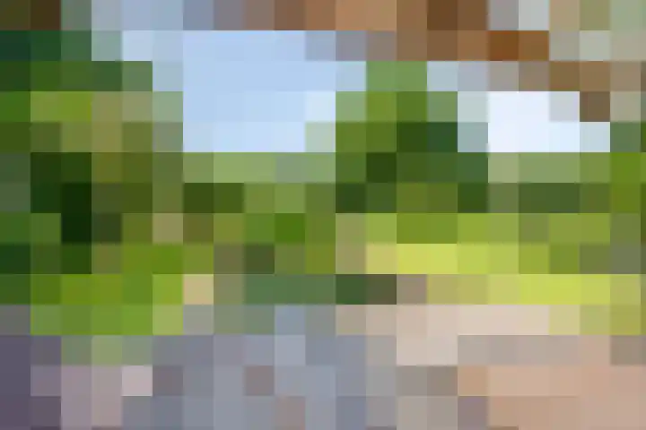 Vaartkant 16 Drimmelen thumbnail 40