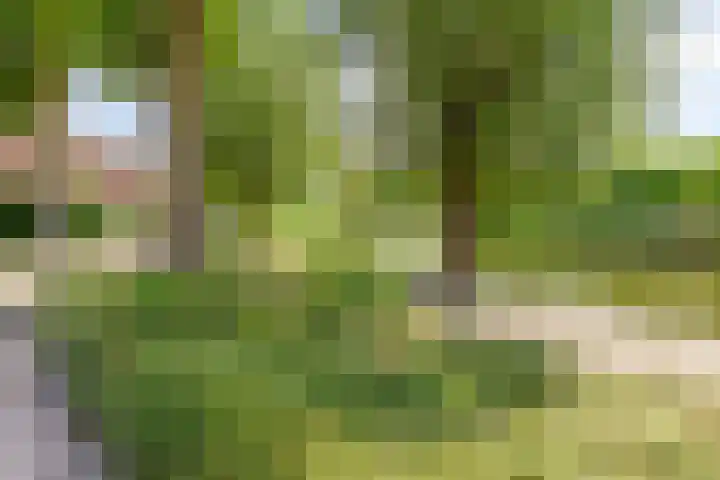 Vaartkant 16 Drimmelen thumbnail 41