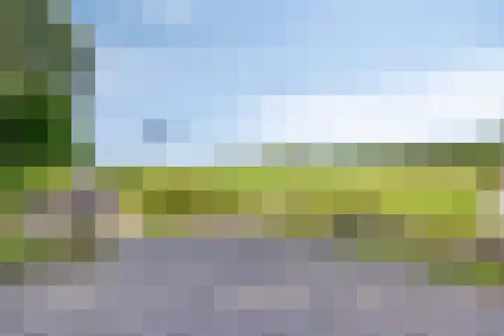 Vaartkant 16 Drimmelen thumbnail 42