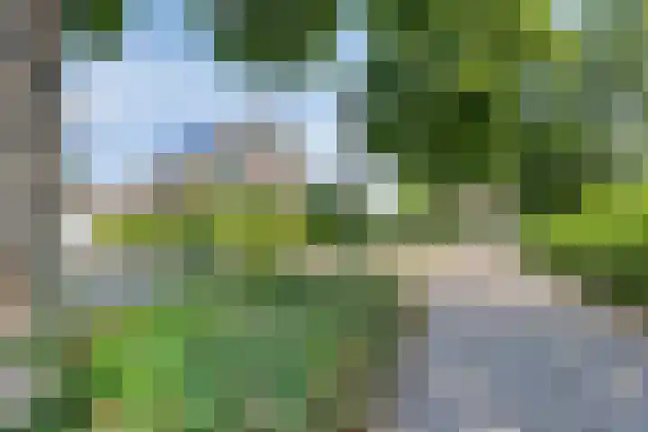 Vaartkant 16 Drimmelen thumbnail 5