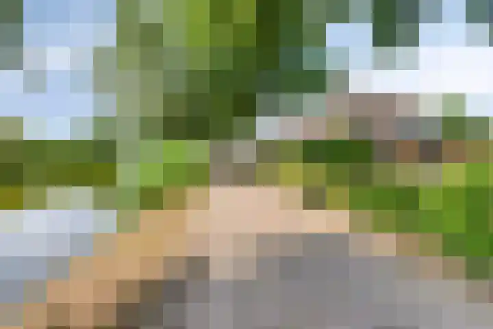 Vaartkant 16 Drimmelen thumbnail 6