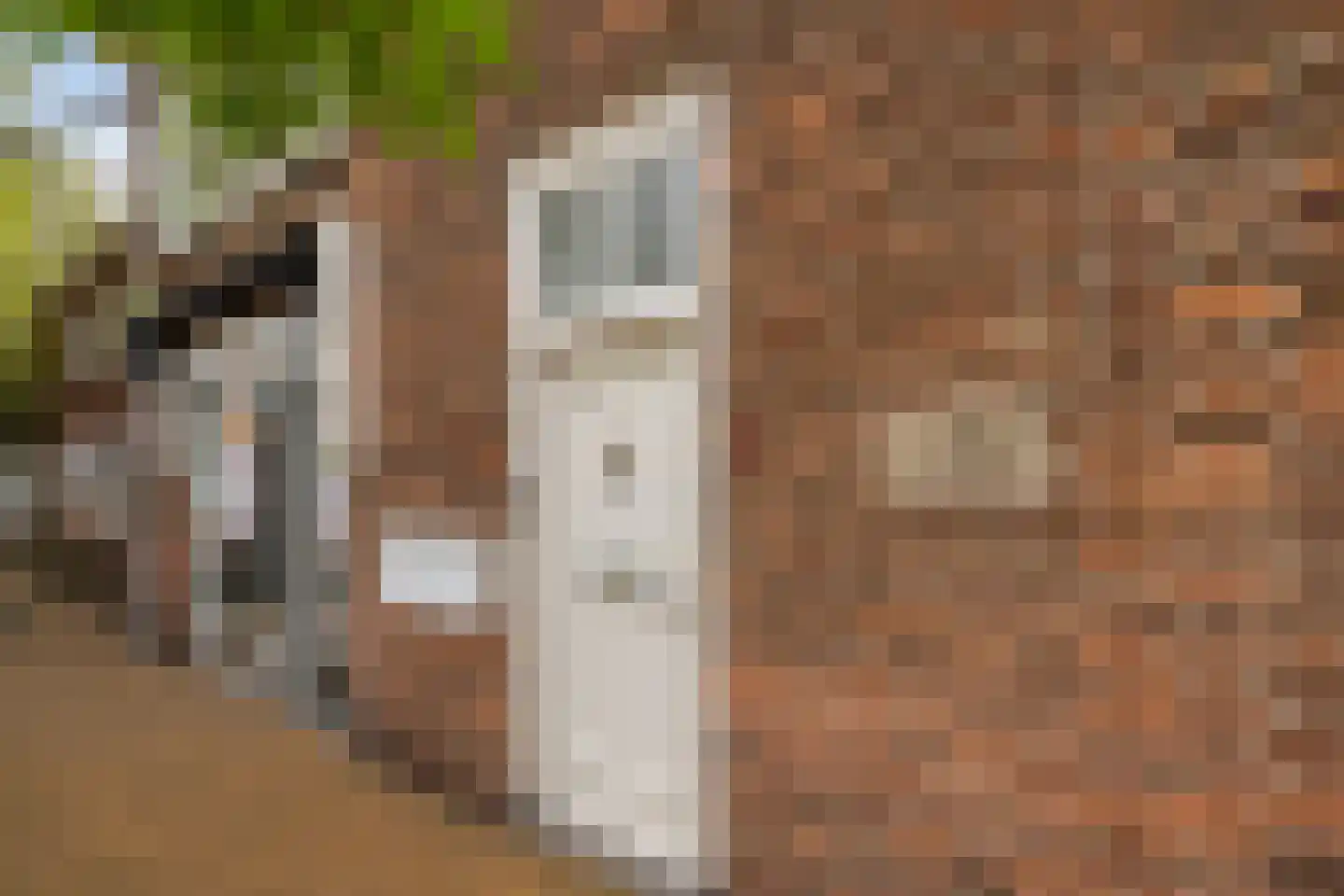 Vaartplein 7 D 's-Gravenzande thumbnail 25