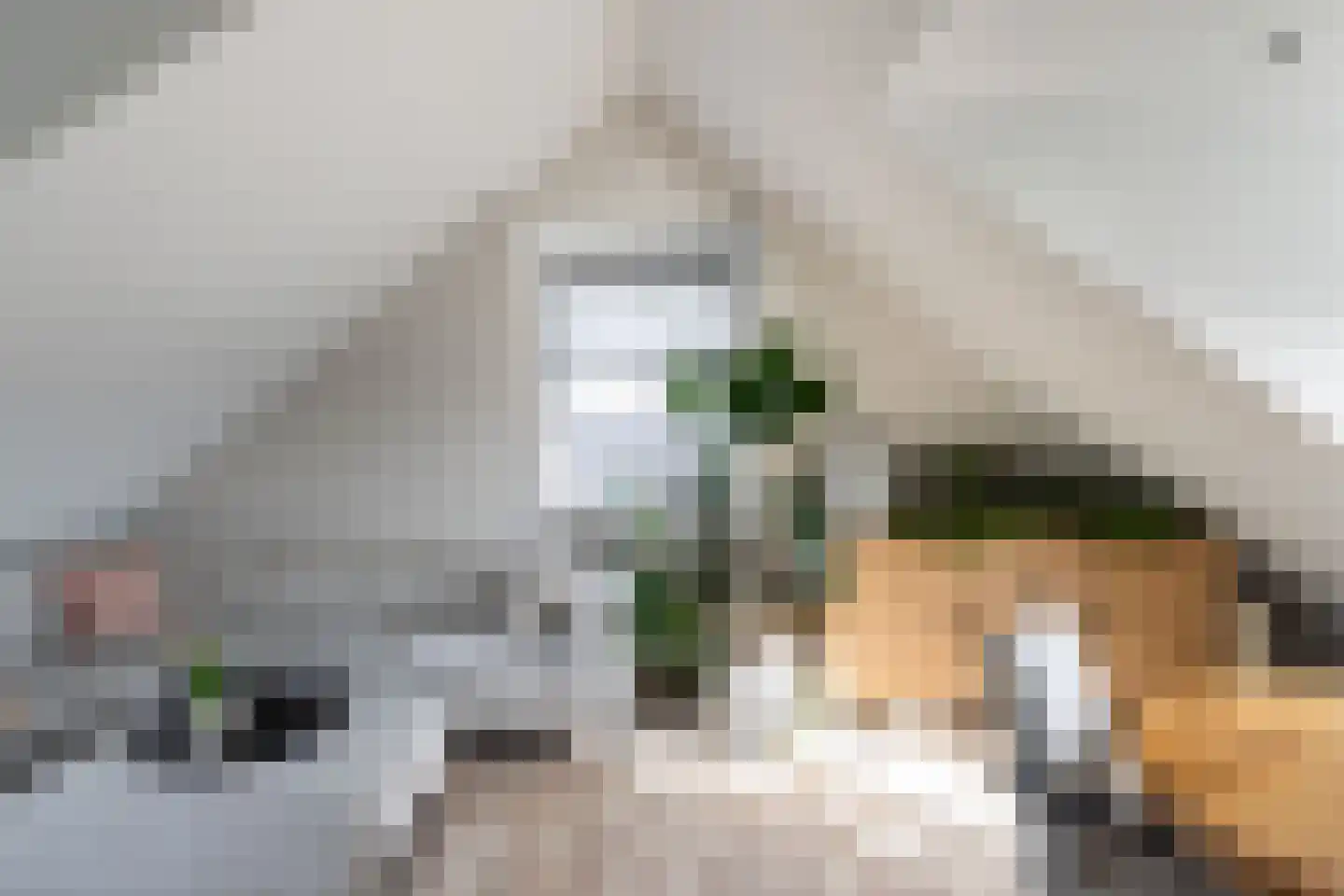 Vaartplein 7 D 's-Gravenzande thumbnail 5