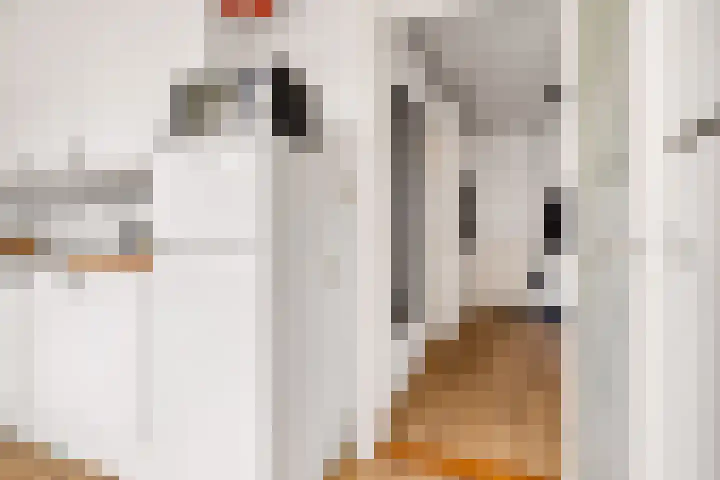 Vaartscherijnstraat 100 Utrecht thumbnail 19