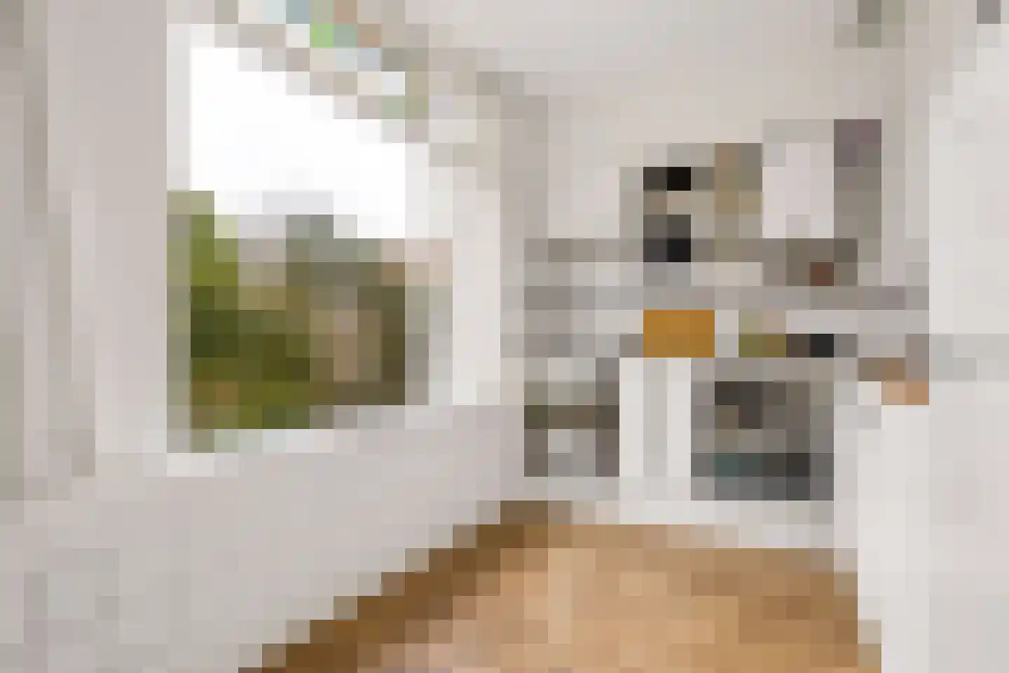Vaartscherijnstraat 100 Utrecht thumbnail 21
