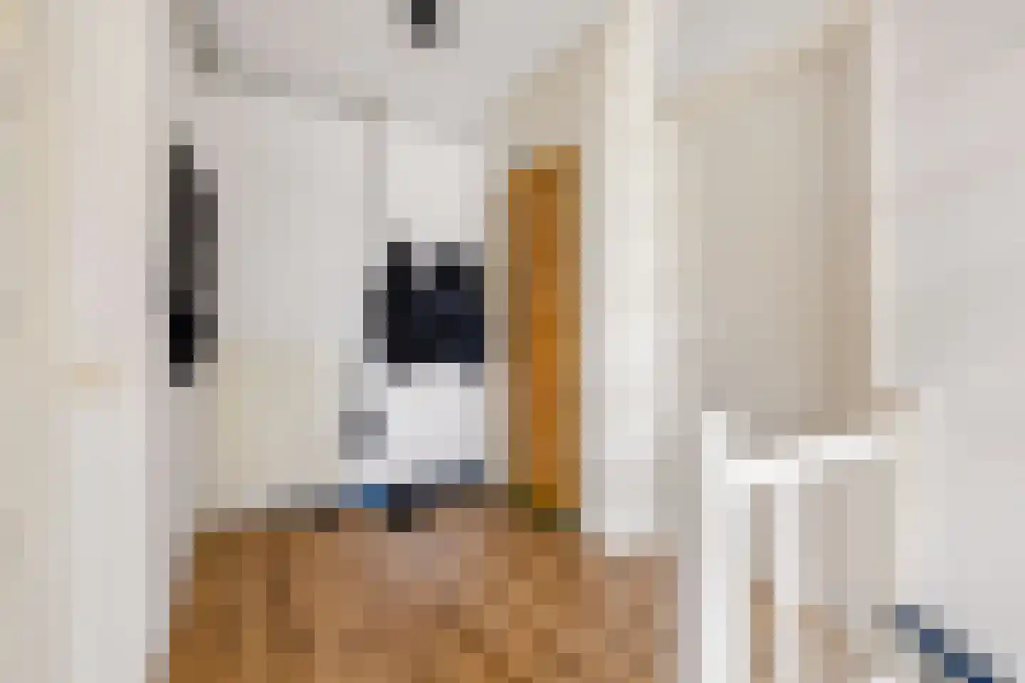 Vaartscherijnstraat 100 Utrecht thumbnail 22