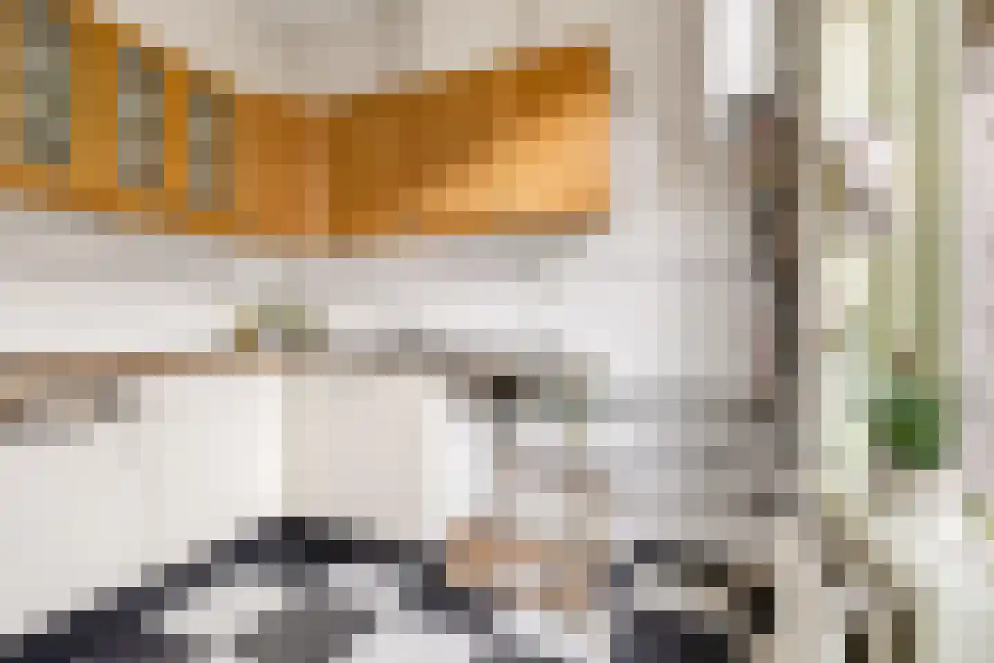 Vaartscherijnstraat 102 Utrecht thumbnail 11