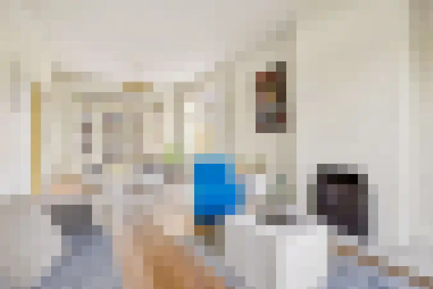 Vaartscherijnstraat 102 Utrecht thumbnail 19