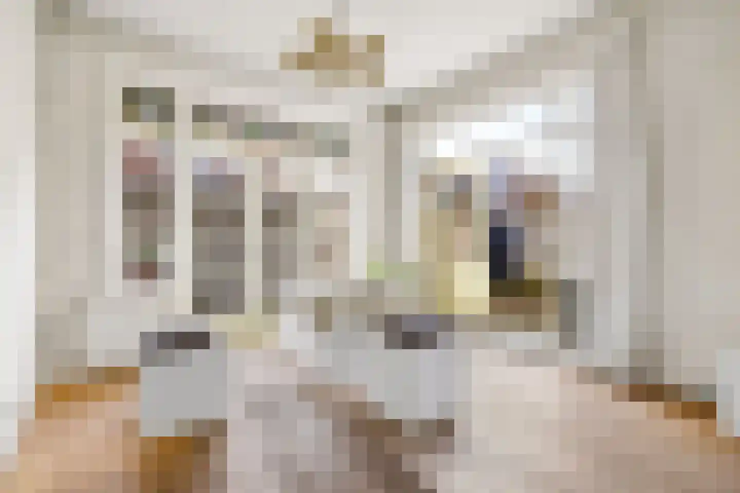 Vaartscherijnstraat 102 Utrecht thumbnail 22