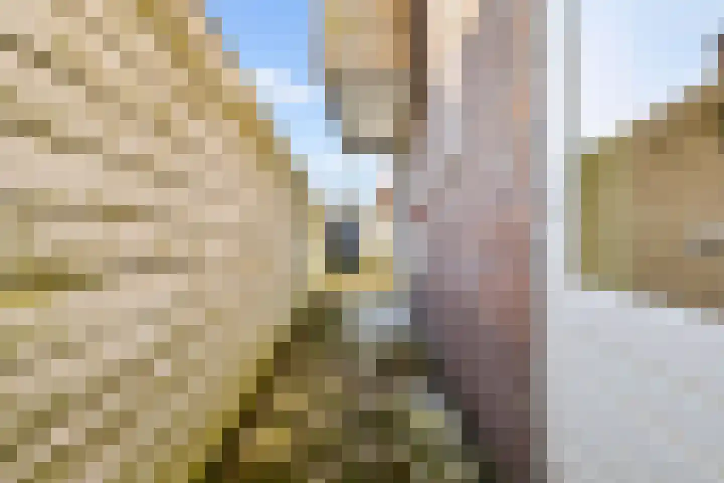 Vaartscherijnstraat 102 Utrecht thumbnail 30