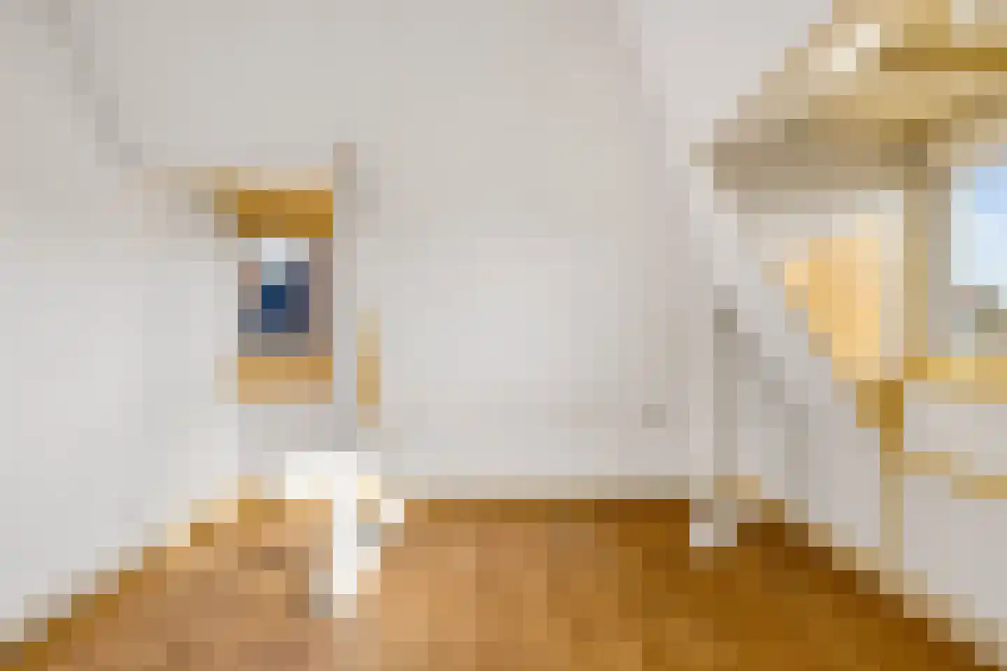 Vaartscherijnstraat 102 Utrecht thumbnail 36