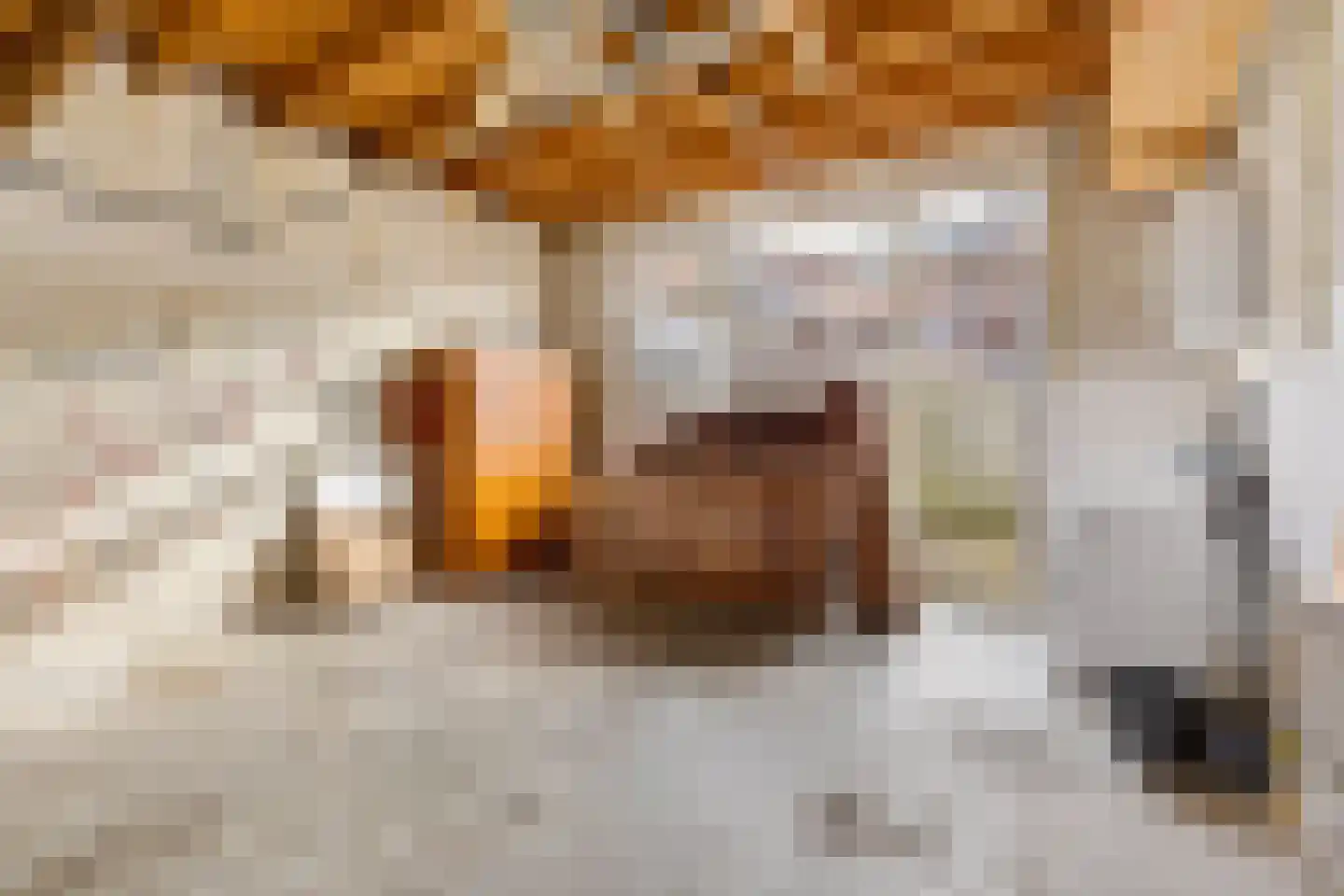 Vaartscherijnstraat 102 Utrecht thumbnail 42