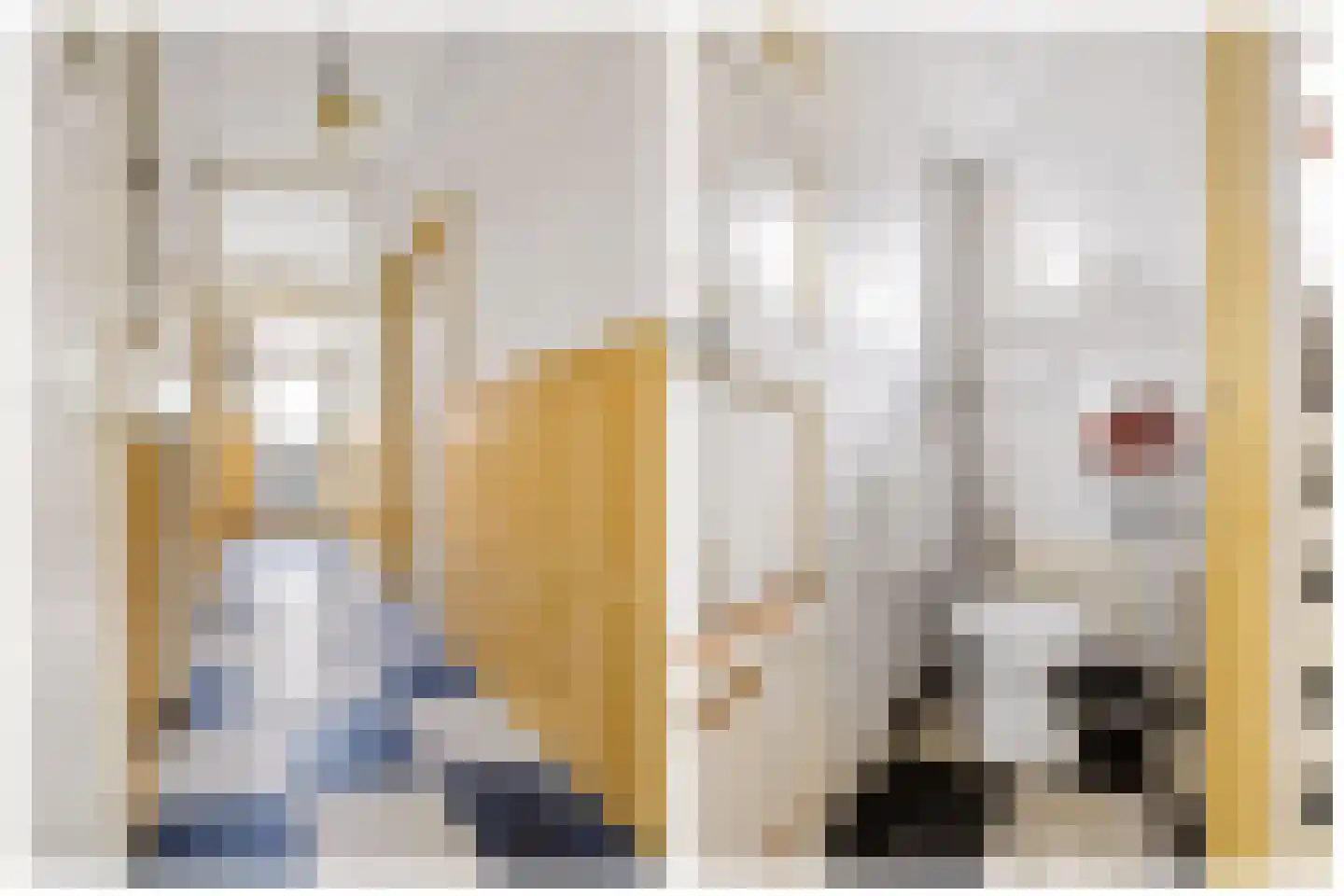 Vaartscherijnstraat 102 Utrecht thumbnail 5