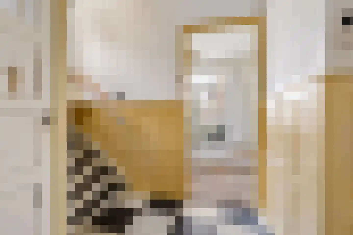 Vaartscherijnstraat 102 Utrecht thumbnail 6