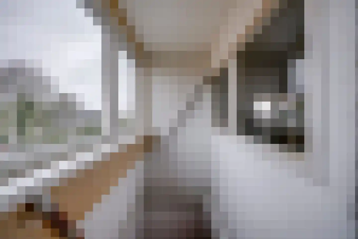 Vaartscherijnstraat 104 Utrecht thumbnail 32