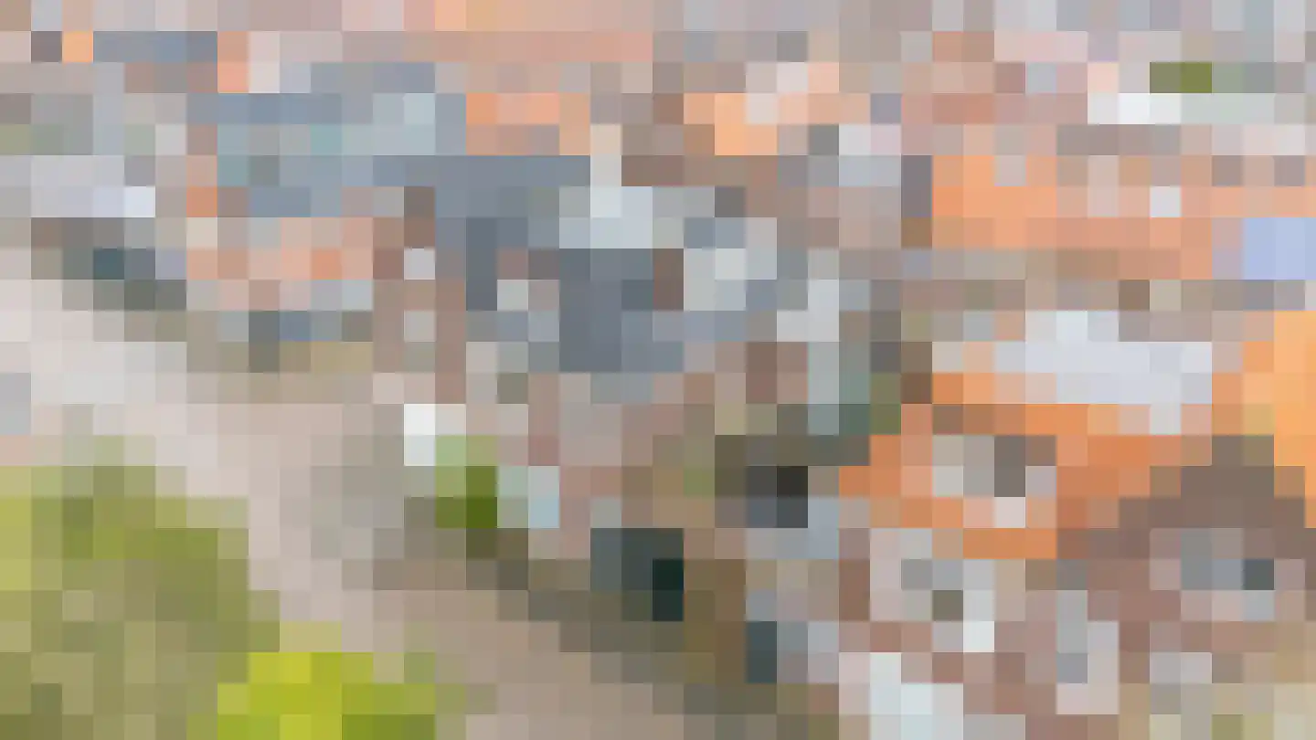 Vaartscherijnstraat 104 Utrecht thumbnail 52