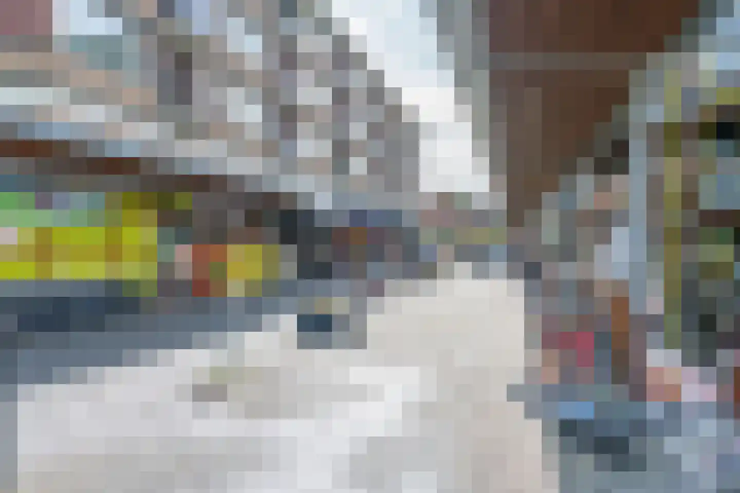 Vaartscherijnstraat 104 Utrecht thumbnail 57