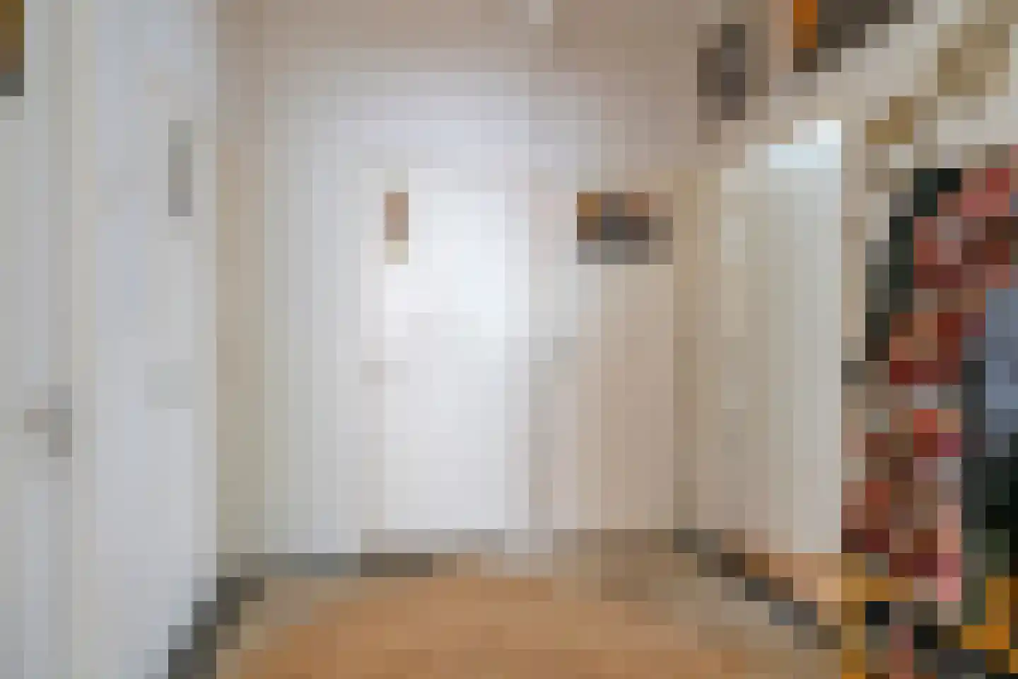 Vaartscherijnstraat 104 Utrecht thumbnail 6