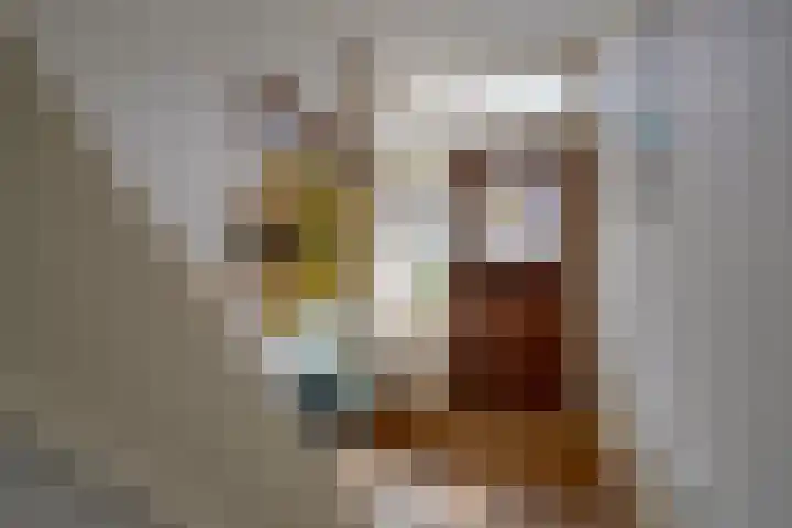 Vaartscherijnstraat 13 Utrecht thumbnail 10