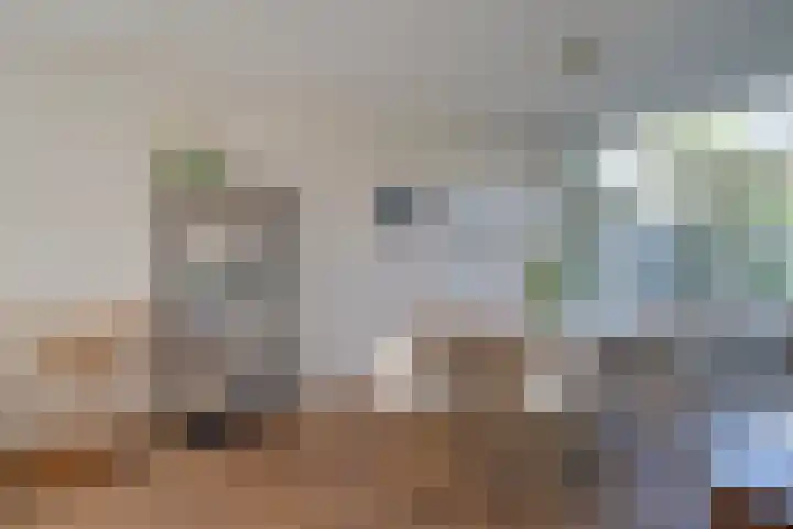 Vaartscherijnstraat 13 Utrecht thumbnail 13