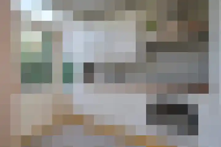 Vaartscherijnstraat 13 Utrecht thumbnail 19