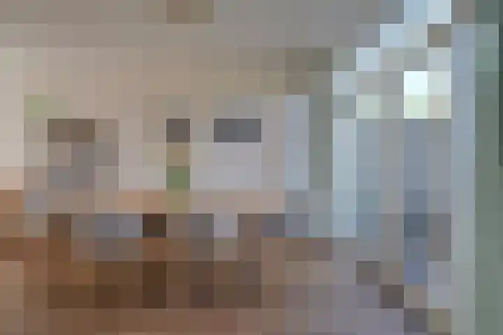 Vaartscherijnstraat 13 Utrecht thumbnail 20