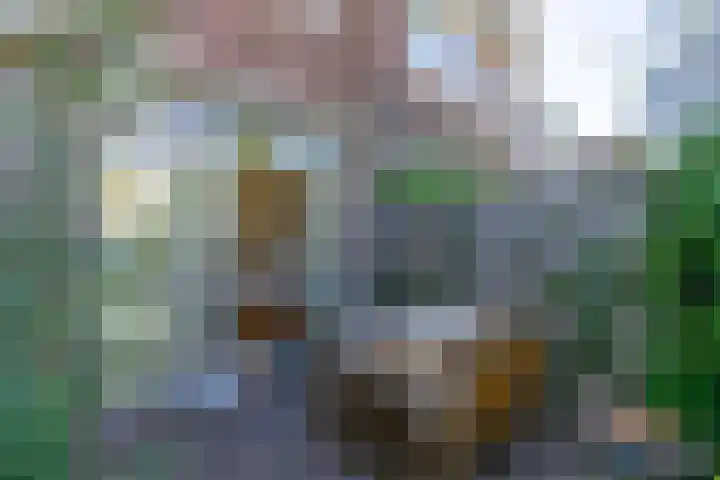 Vaartscherijnstraat 13 Utrecht thumbnail 27