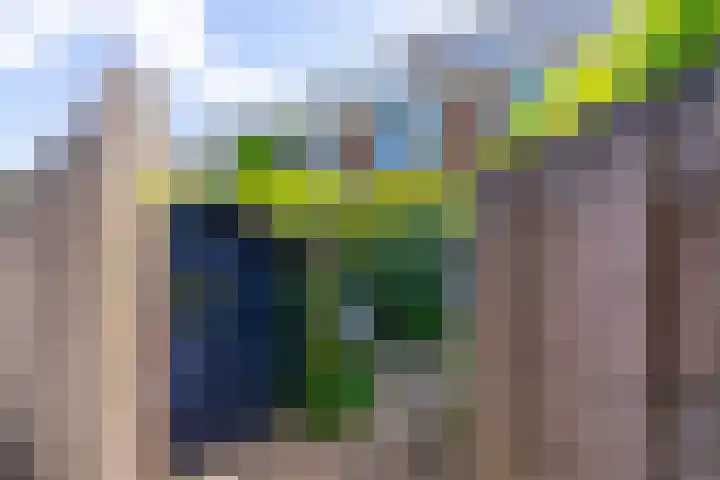 Vaartscherijnstraat 13 Utrecht thumbnail 31