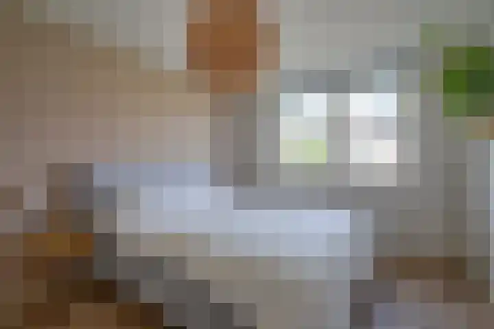 Vaartscherijnstraat 13 Utrecht thumbnail 33