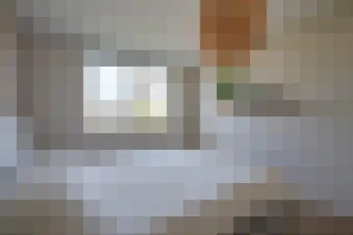 Vaartscherijnstraat 13 Utrecht thumbnail 34
