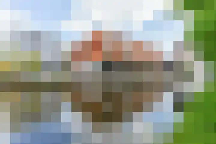 Vaartscherijnstraat 13 Utrecht thumbnail 54