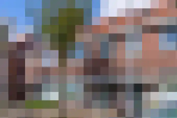 Vaartscherijnstraat 13 Utrecht thumbnail 6